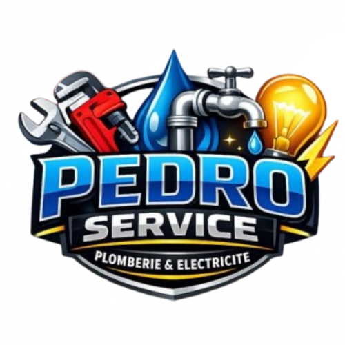 logo pedro service